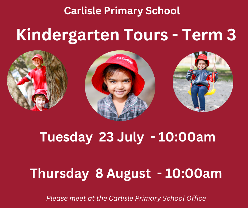 Kindergarten Tours - Term 3 1